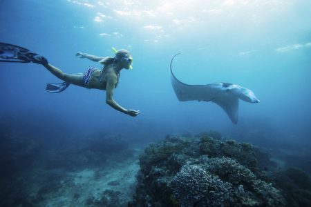 Batansabocottage-snorkelingtourinnusapenida-nusapenidahotels-mantapointnusapenida-1 Batansabocottage-snorkelingtourinnusapenida-nusapenidahotels-mantapointnusapenida-1